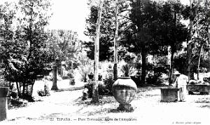 Tipasa - Ruines romaines 63